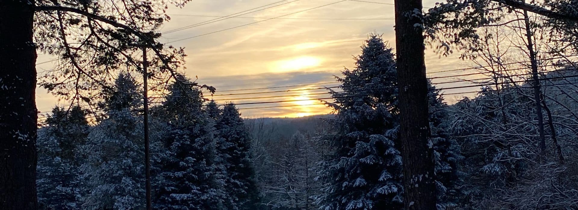 Sunset seen through snowy trees with power lines in the foreground.