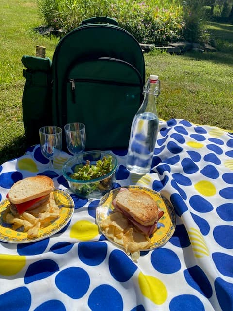 A picnic scene featuring two plates with sandwiches and chips, a salad, water bottle, two glasses, and a green backpack on a polka-dotted blanket in a sunny garden.