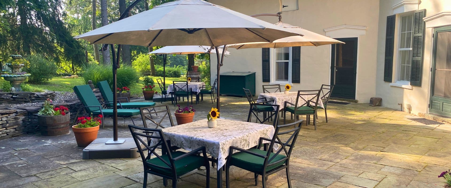 A serene outdoor patio area with tables, chairs, and umbrellas surrounded by potted plants.