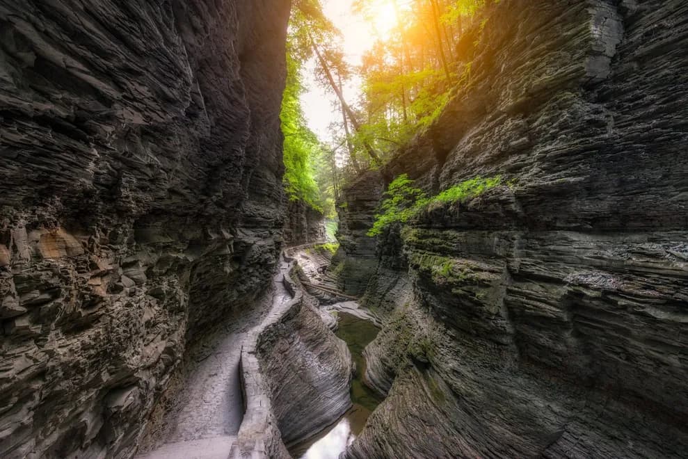 A sunlit canyon with steep, rocky walls and lush greenery.