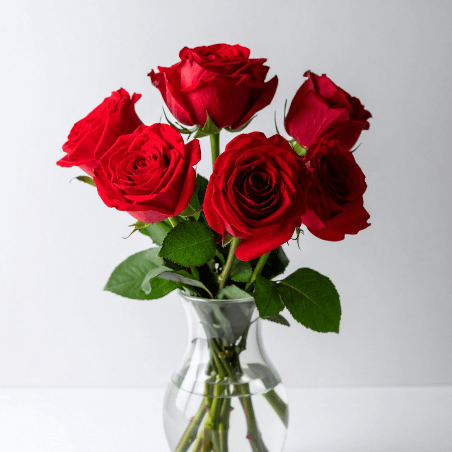 A bouquet of six red roses in a clear vase.
