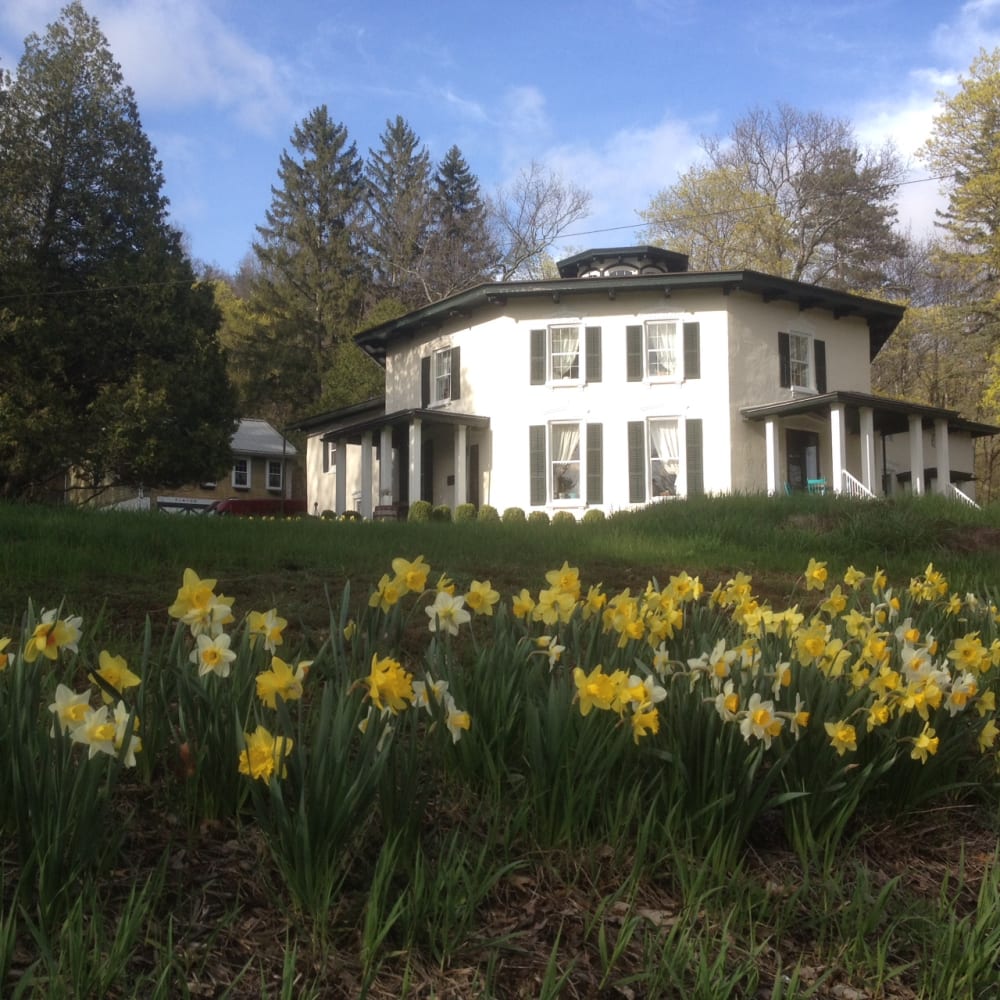 Why choose a Bed and Breakfast? - Black Sheep Inn and Spa